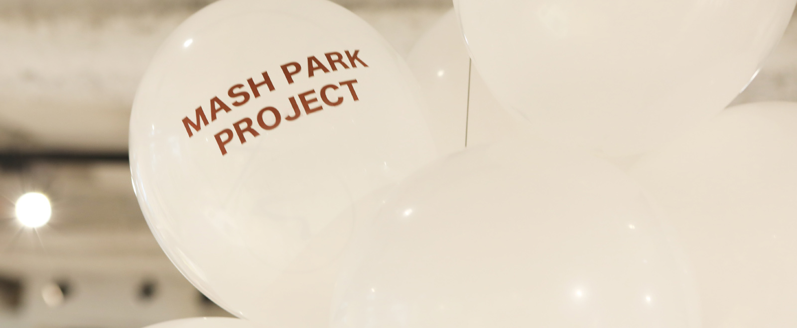 MASH park project